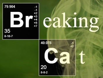 Breaking Cat logo
