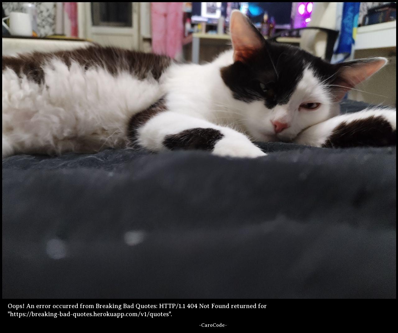 Cataas photo with Breaking Bad Quotes